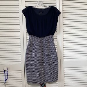 Navy/White Dress